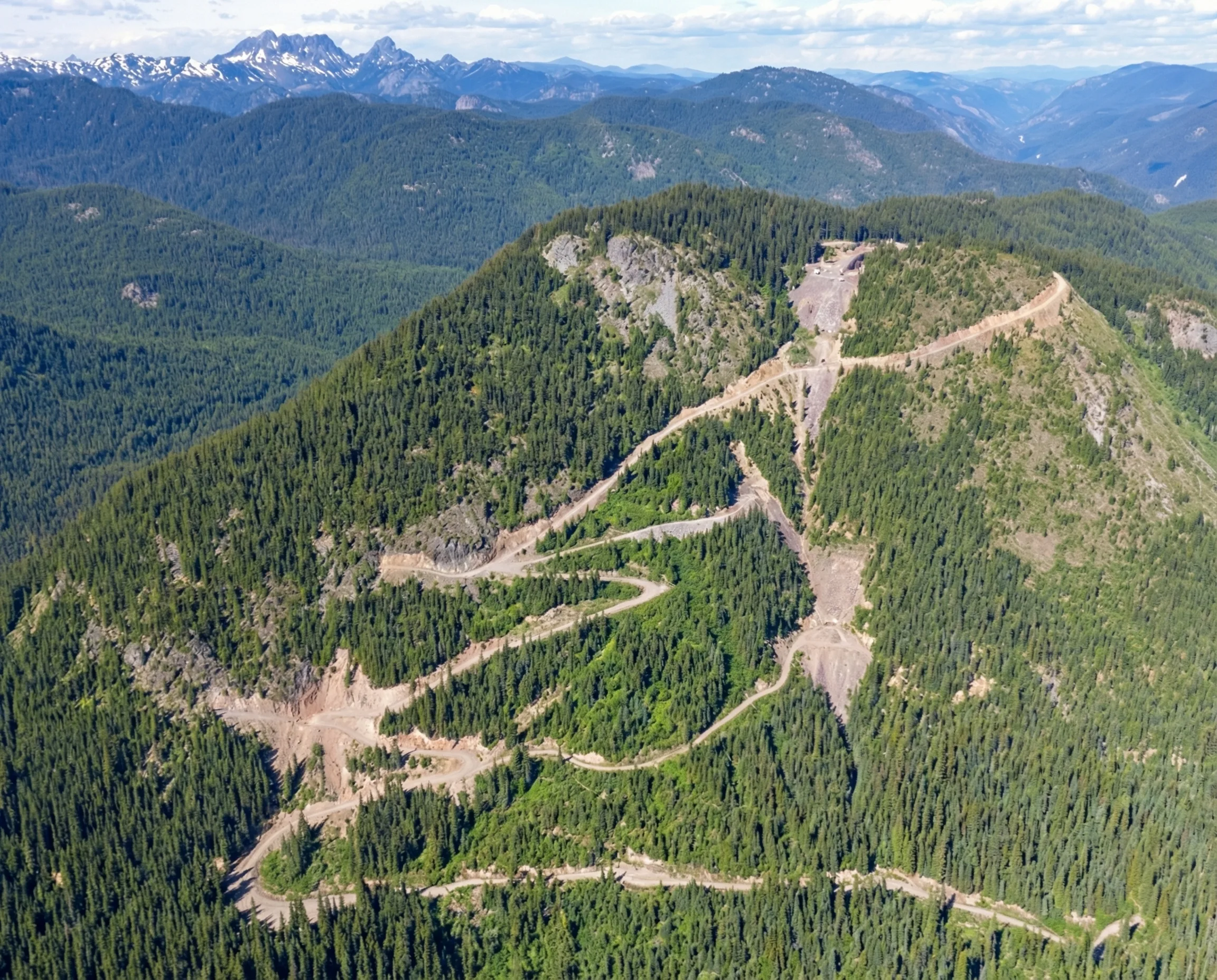 Treasure Mountain Silver Project